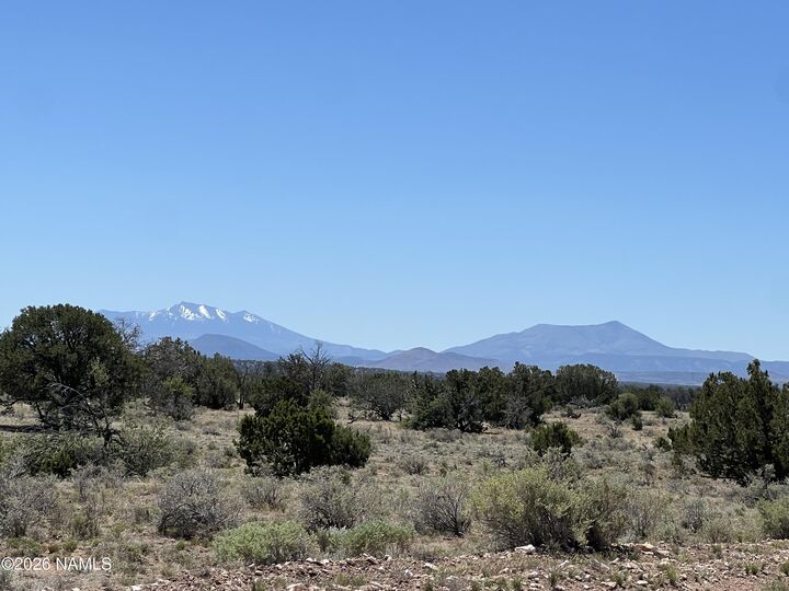 Property Photo:  3927 Mohave Lot B 12 Acres Trail  AZ 86046 