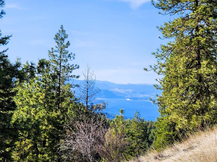 Property Photo:  4021 Bissell Rd  WA 99137 
