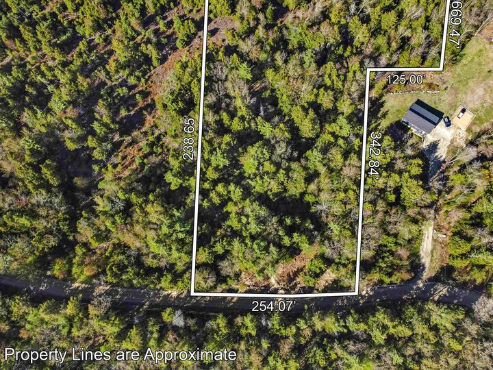 Property Photo:  1196 Province Road  NH 03218 