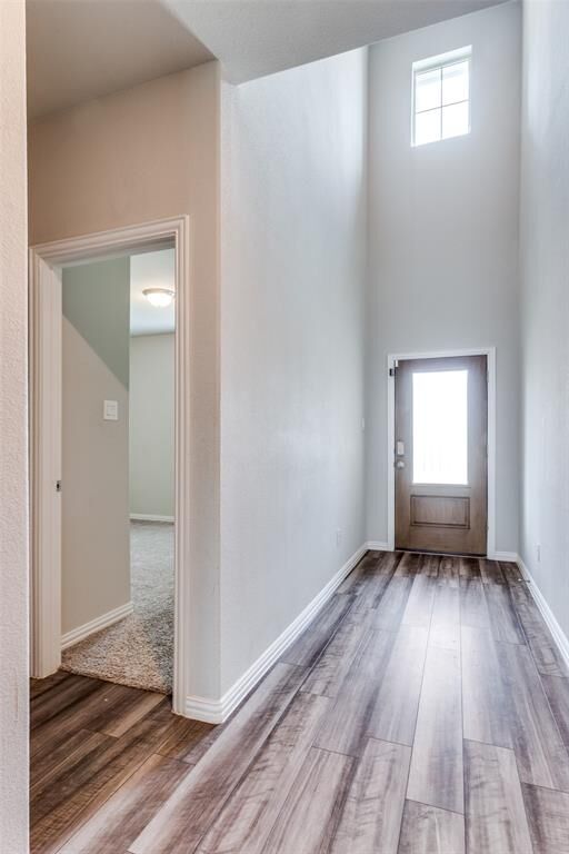 Property Photo:  10616 Tonkala Drive  TX 76179 