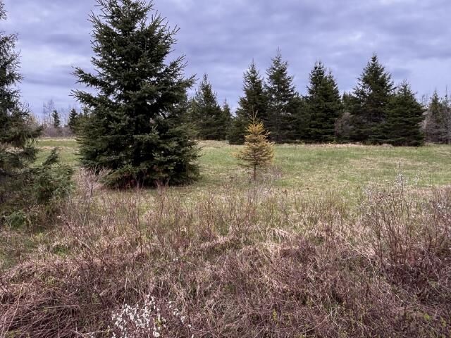 Chapel Road Lot — photo 1