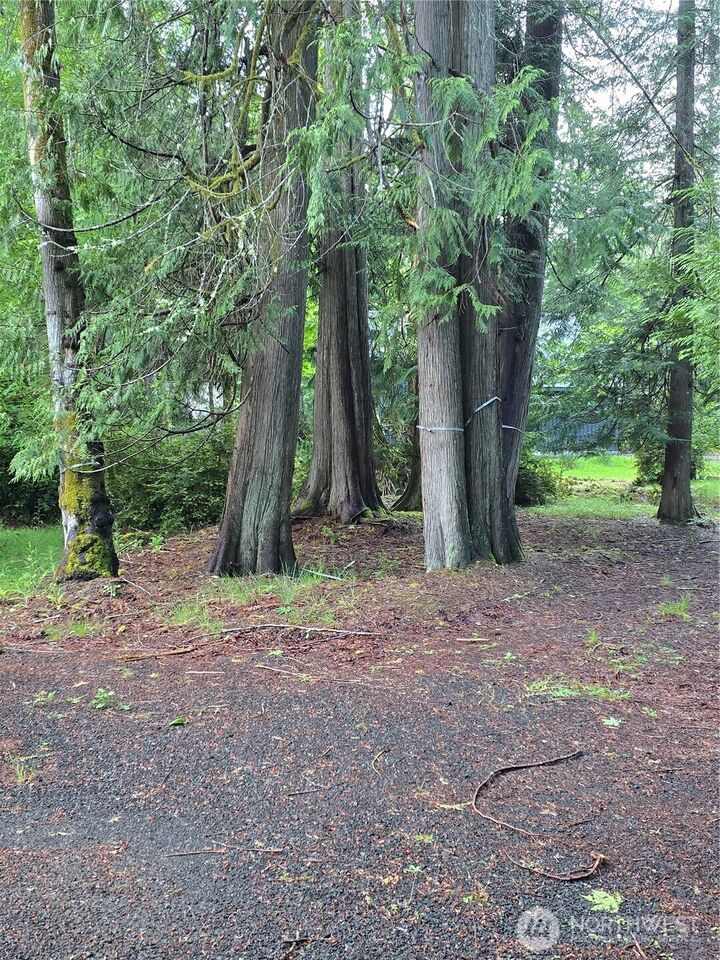 Property Photo:  441 E Pointes Drive E  WA 98584 