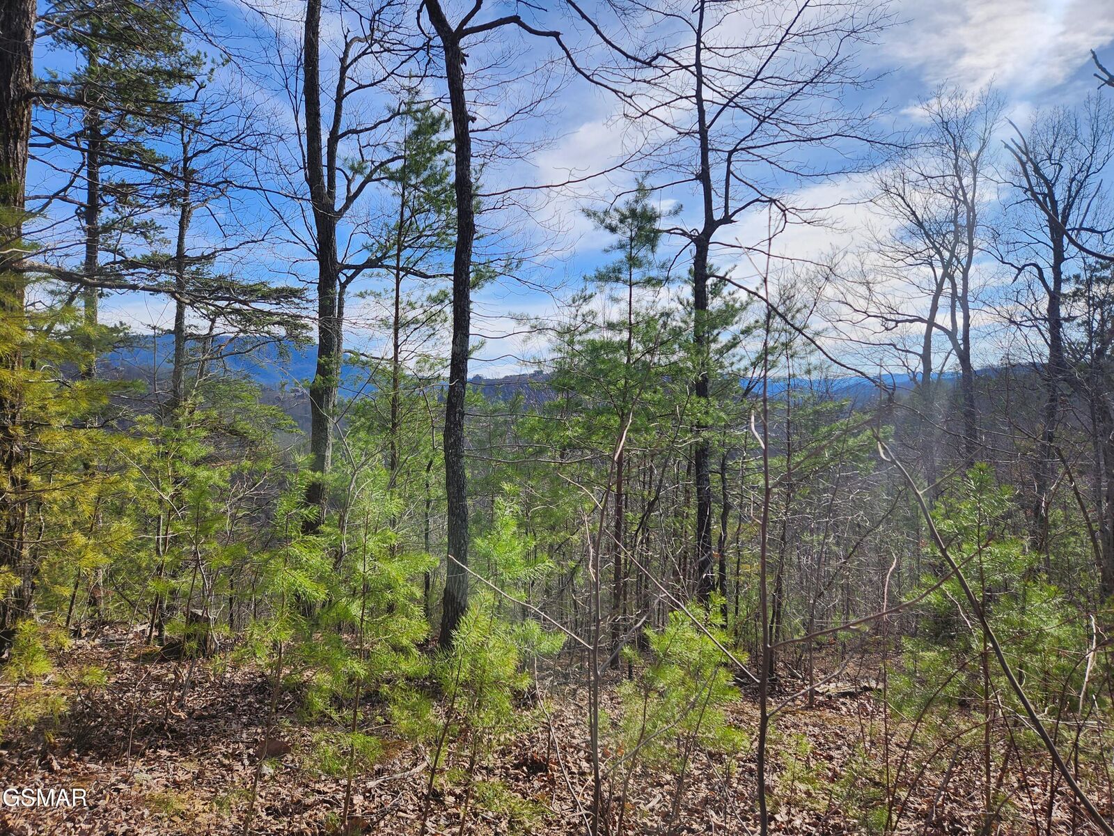 Property Photo:  Lot 46 Feld Wynde Close Way  TN 37862 
