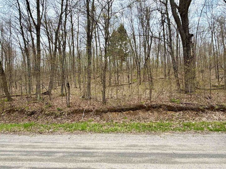 Property Photo:  842 Seagull Lake Road S  ON P0H 1A0 