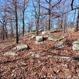 Property Photo:  1 Mile Road  OK 74462 