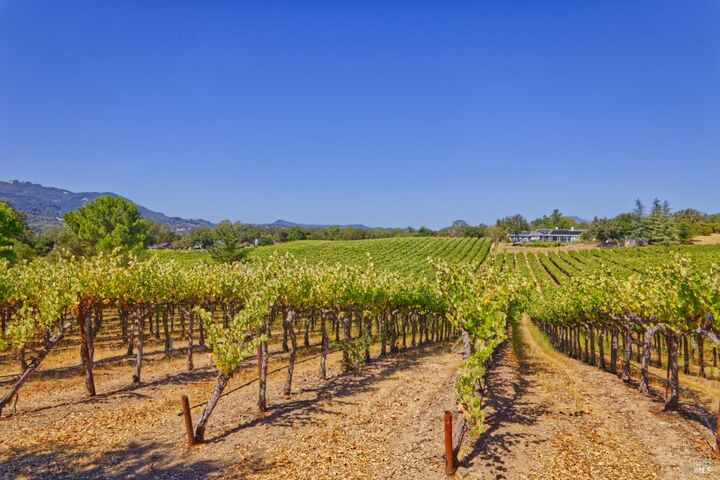 Property Photo:  15881 Highway 12  CA 95476 