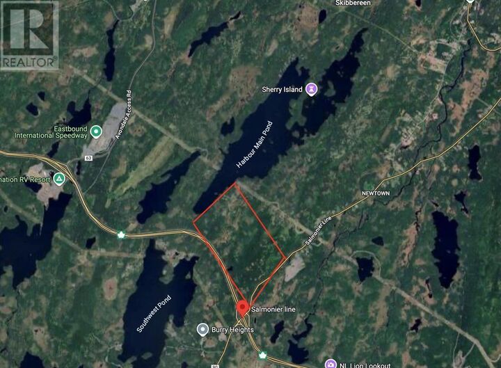0 Salmonier Line — photo 1