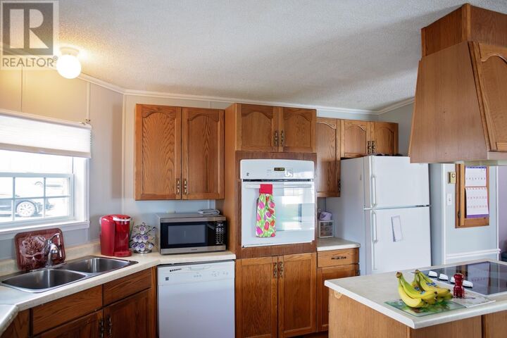 Property Photo:  25 Curtiss Avenue  NL  