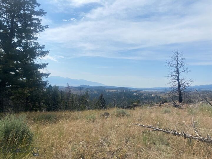 Property Photo: Tbd Whiskey Gulch Road MT 59759