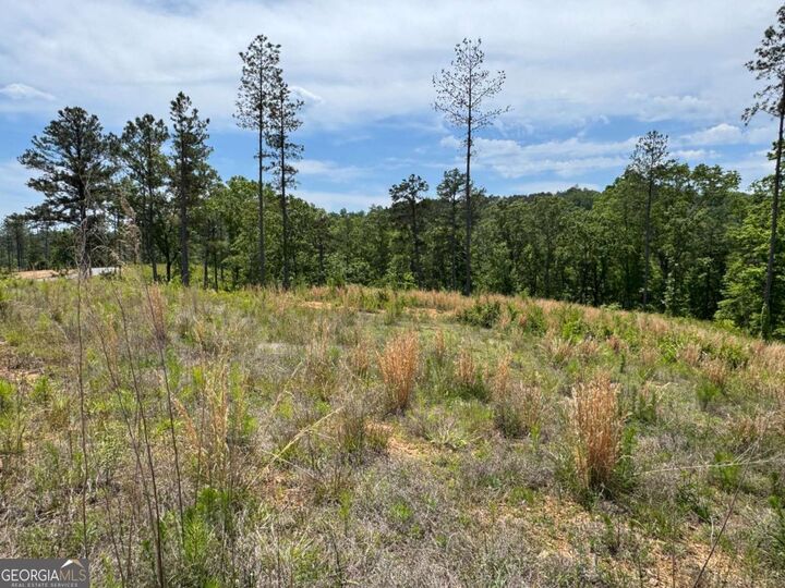 Property Photo:  Lot 243 Spear Point Drive  GA 30175 