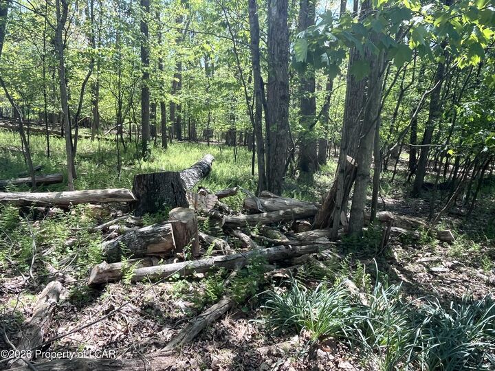 Property Photo:  Henry Drive  PA 18707 