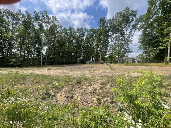Property Photo: 186 Summerwind Drive TN 38571