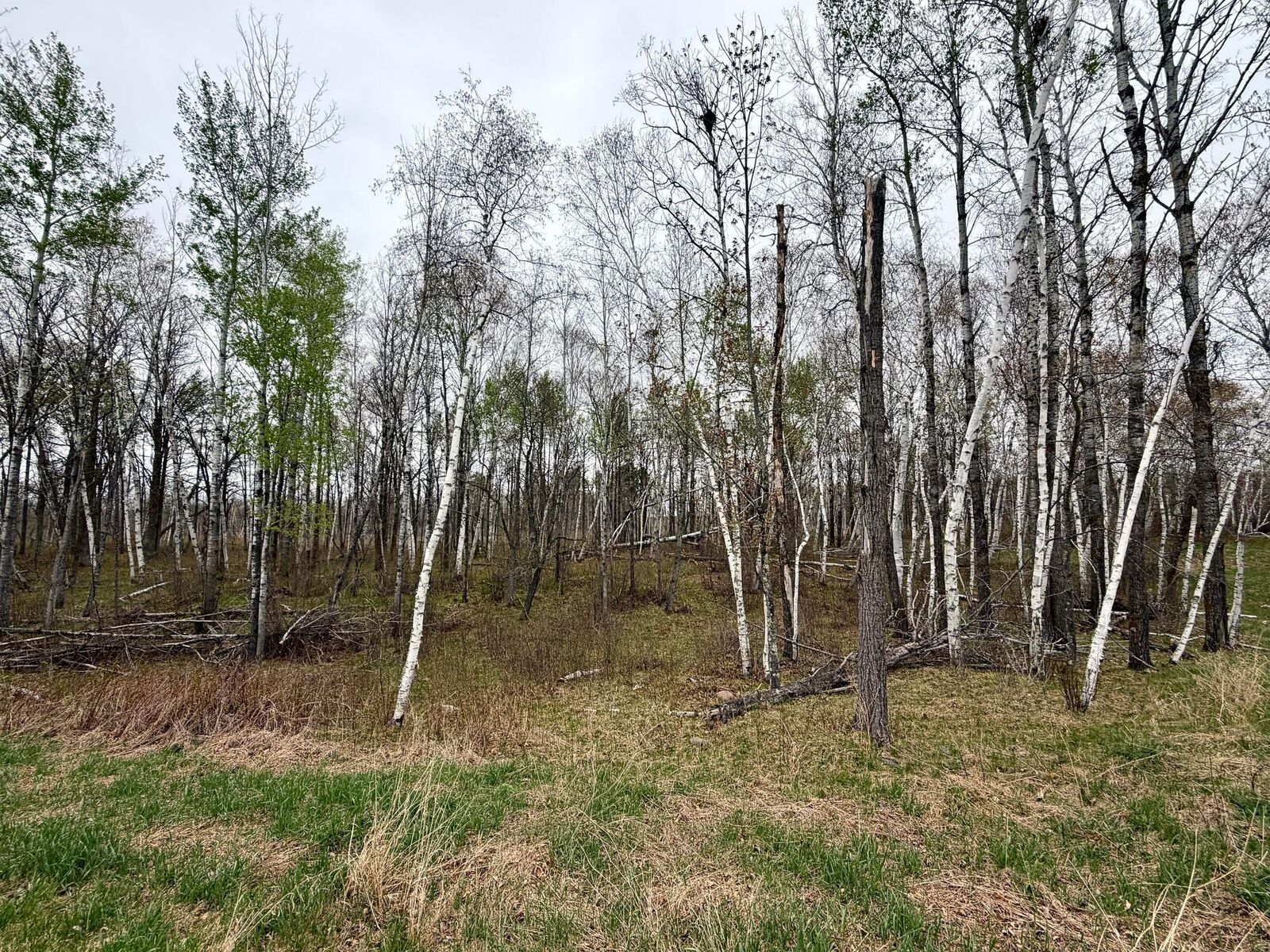 Property Photo:  L17b1 Acorn Ridge Road NW  MN 56601 