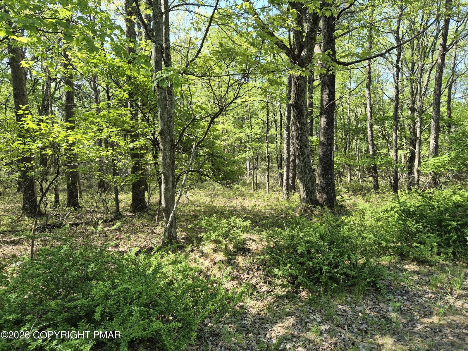 Property Photo:  Lower Seese Hill Rd Road  PA 18325 