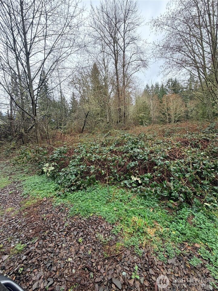 Property Photo:  0 Xxxx  238th Avenue NE  WA 98053 