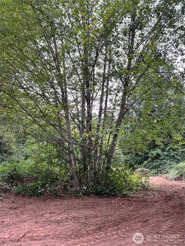 Property Photo: 0 Xxxx 238th Avenue NE WA 98053