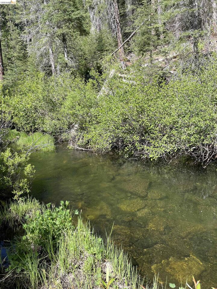 Property Photo:  26777 Browns Meadow Rd  CA 95335 
