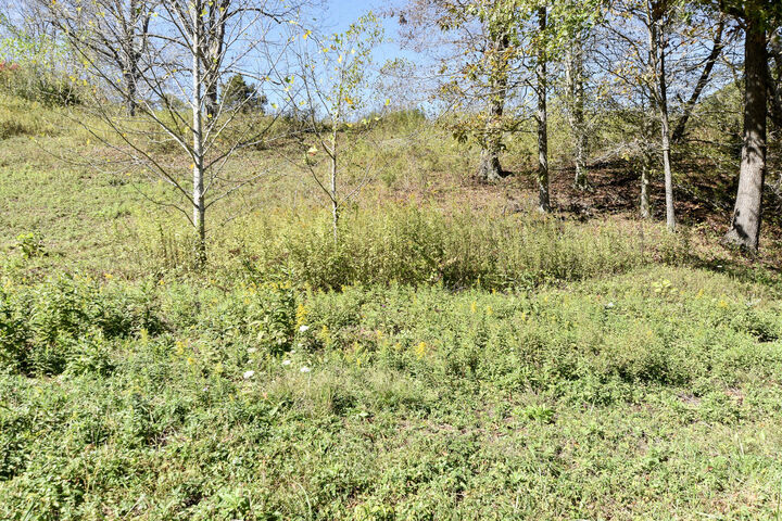 Property Photo:  601 Hackworth Hollow Road  KY 41179 