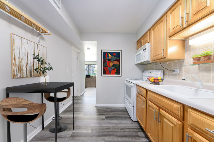 Property Photo: 9620 Bianco Terrace B IL 60016