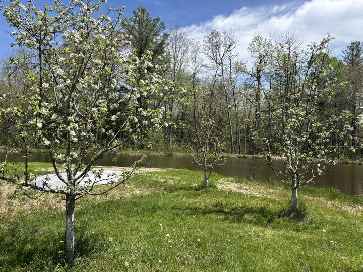 Property Photo: 773 Hatchery Road ME 04622