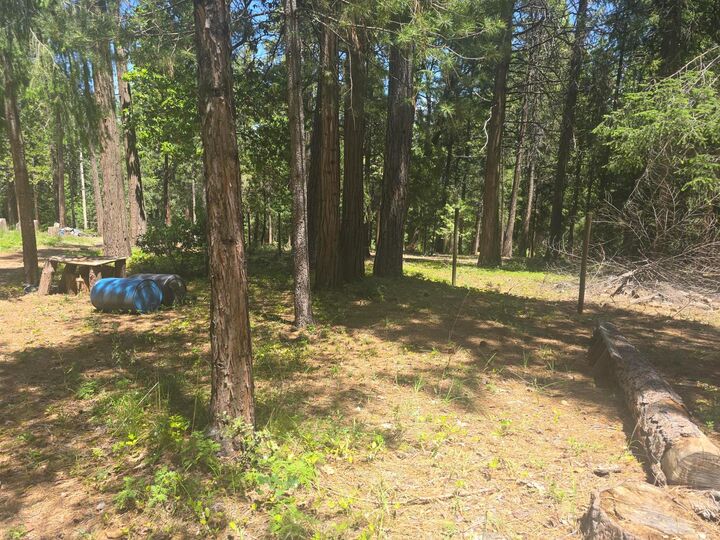 Property Photo:  12181 Robust Way  CA 95959 