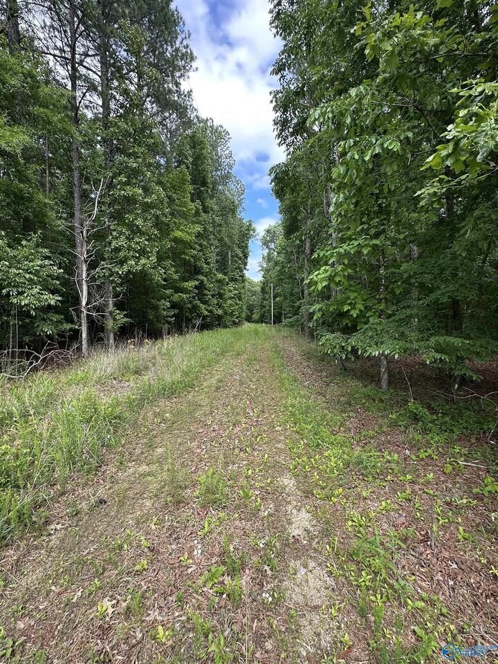 Property Photo: 243 Friendship Road AL 35906