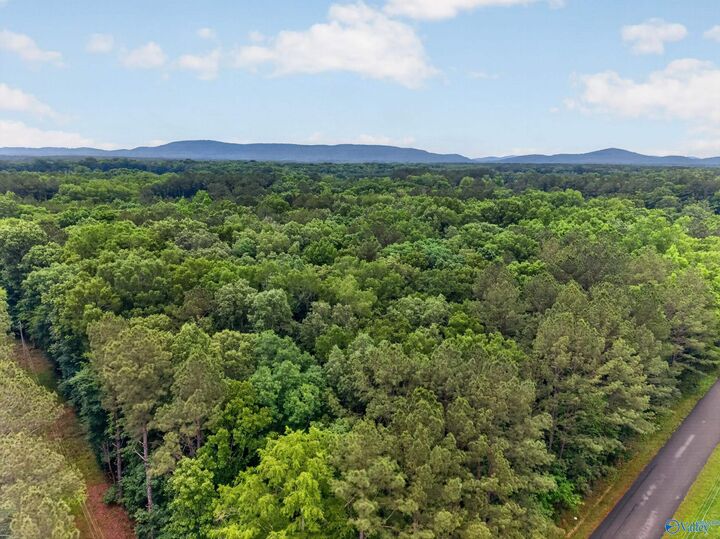 Property Photo:  243 Friendship Road  AL 35906 