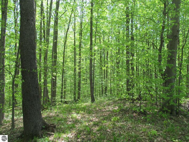 Property Photo:  0 M-115  MI 49688 