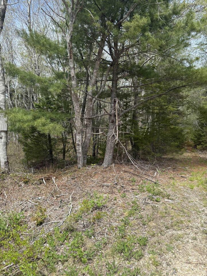Property Photo:  Lot 1-A Gavel Road  NS B0W 3M0 