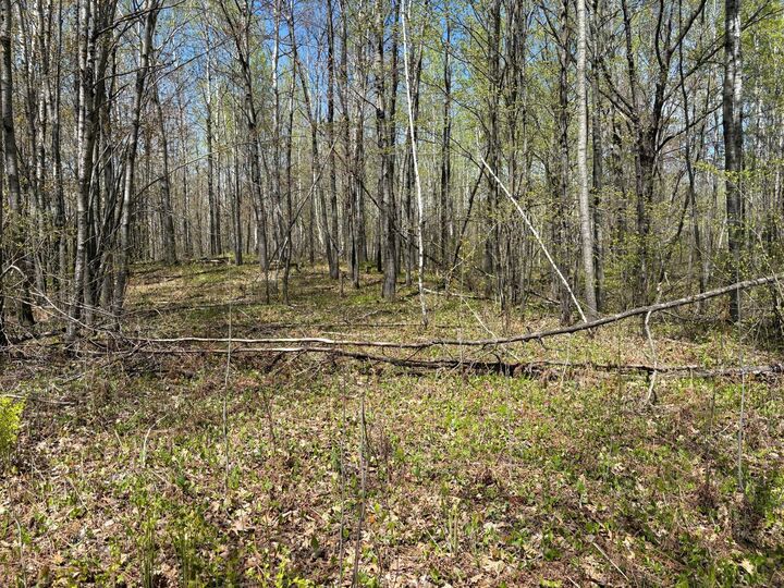 Property Photo:  854X W Chub Lake Rd  MN 55718 