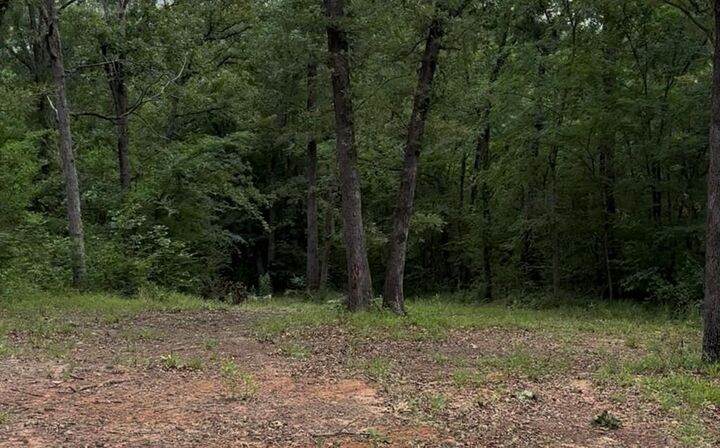 Property Photo:  County Road 1805  TX 75140 