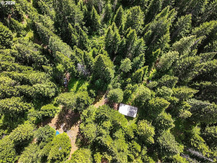 Property Photo:  20 Mountain Pine 6  WA 98602 