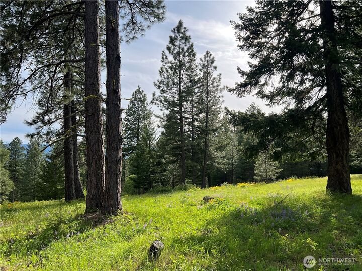Property Photo:  740  Sun Ridge Drive  WA 98922 