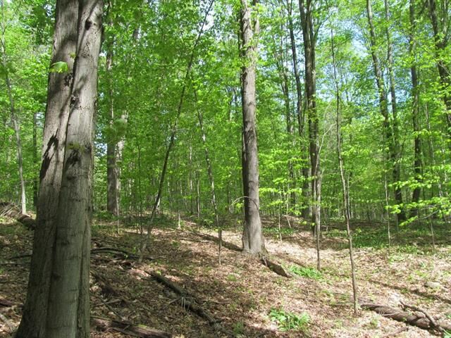 Property Photo:  0 M-115  MI 49688 
