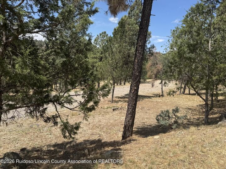 Property Photo: 110 & 112 Silver Star Court NM 88345
