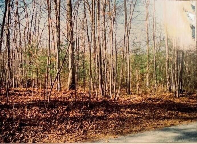 Property Photo: 9880 Wolf Trap Ln VA 22821