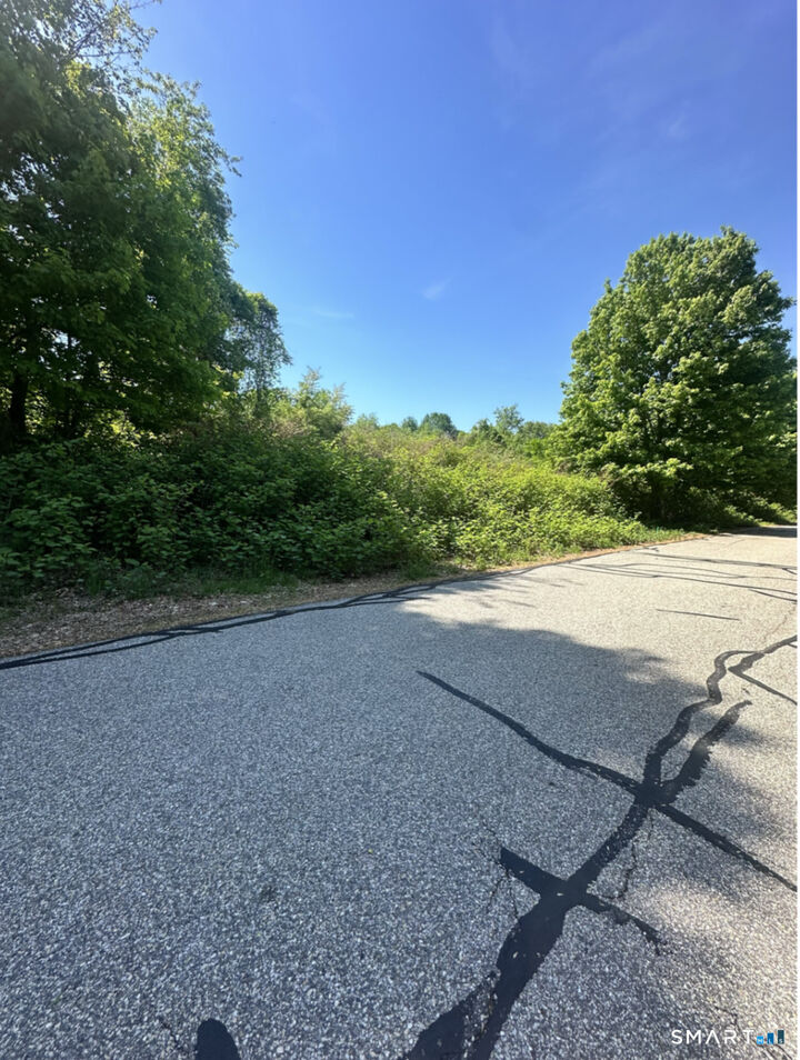 Property Photo:  Maxfelix Drive  CT 06268 