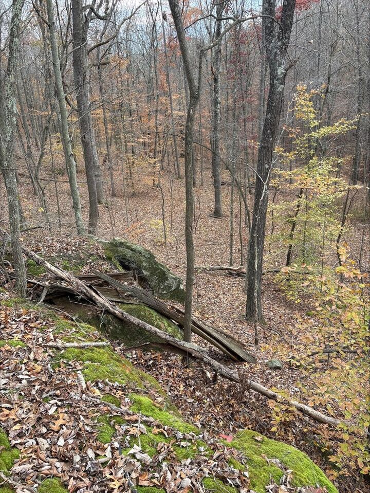 Property Photo:  3110 Borland Rd  OH 45672 