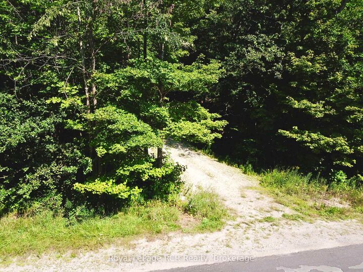 Property Photo:  Pt Lt 6 Bruce Road 9 Road  ON N0H 1W0 