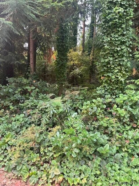 156 Harlech Rd — photo 1
