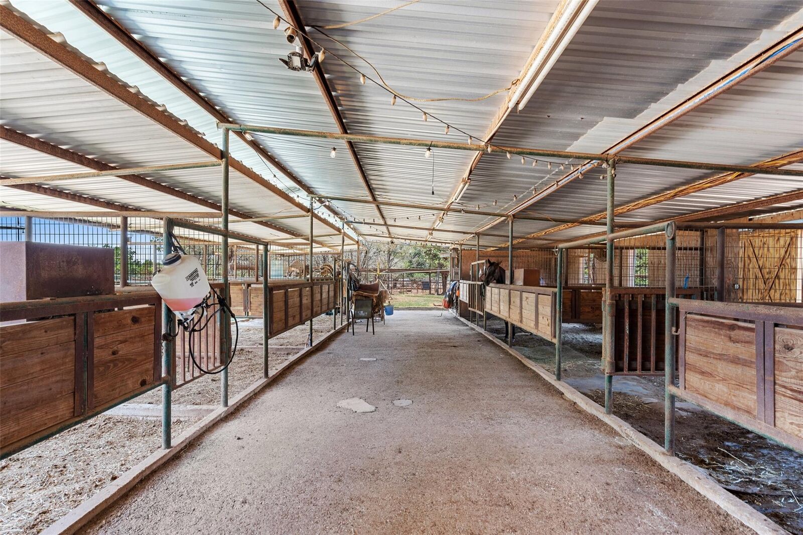 Property Photo:  491 Lone Oak Road  TX 78132 