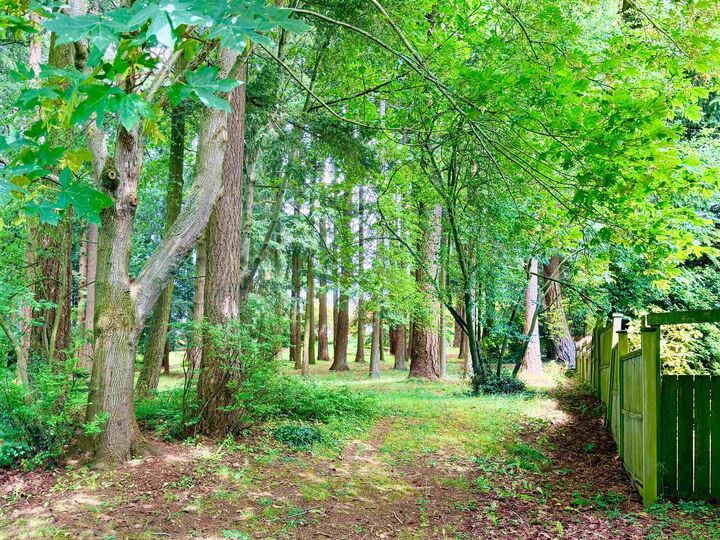 Property Photo: 15497 Buena Vista Avenue BC V4B 1Y9