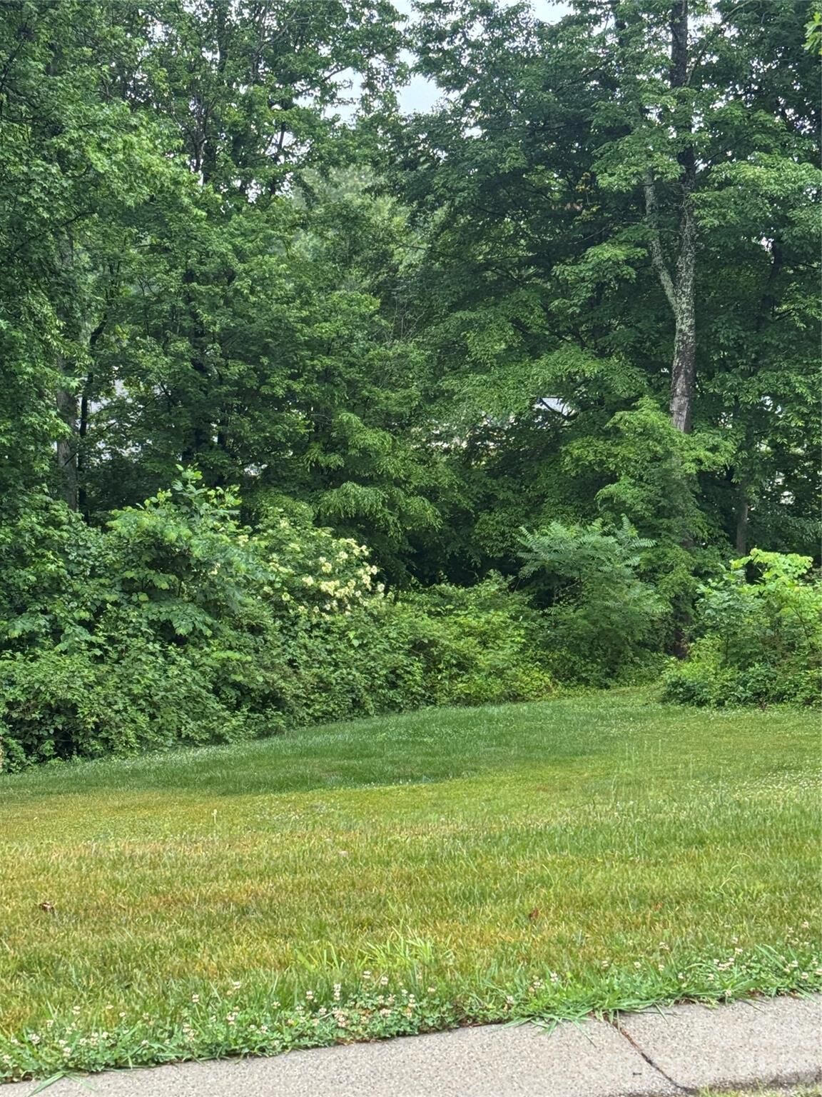 Property Photo: 000 Meadow Glen Drive 115 NC 28166
