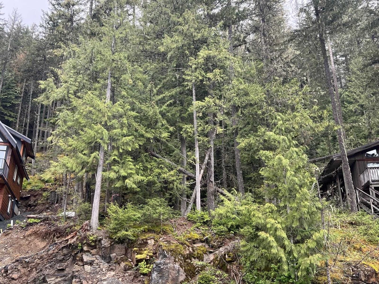 Property Photo:  14701 Parkview Avenue  BC V0X 1L5 