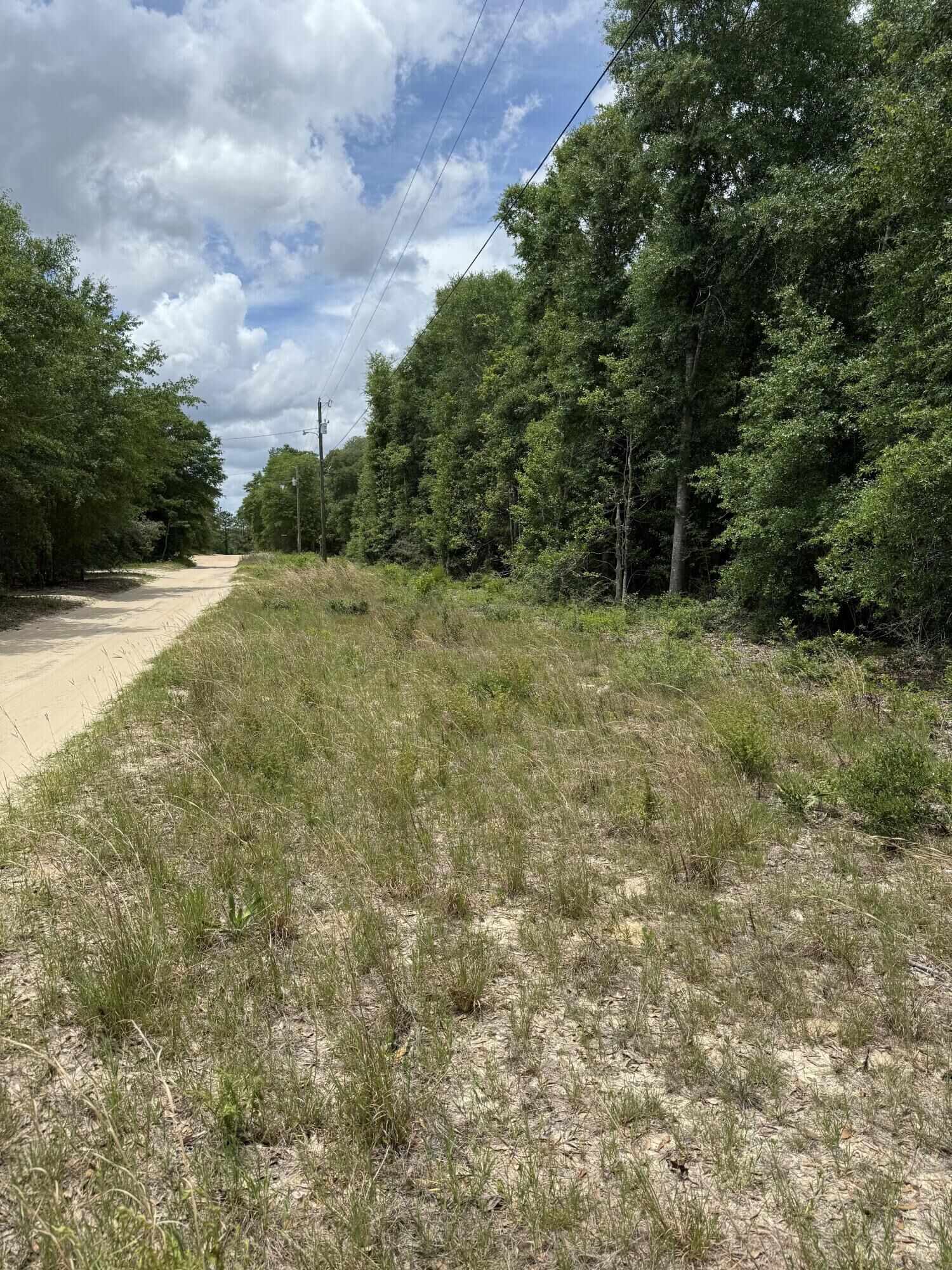 Property Photo: Tbd Christopher Lane FL 32539