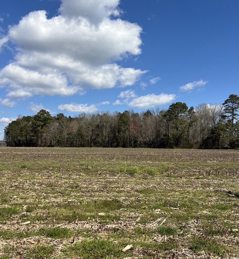 Property Photo:  Lot 6 Temperanceville Rd  VA 23442 