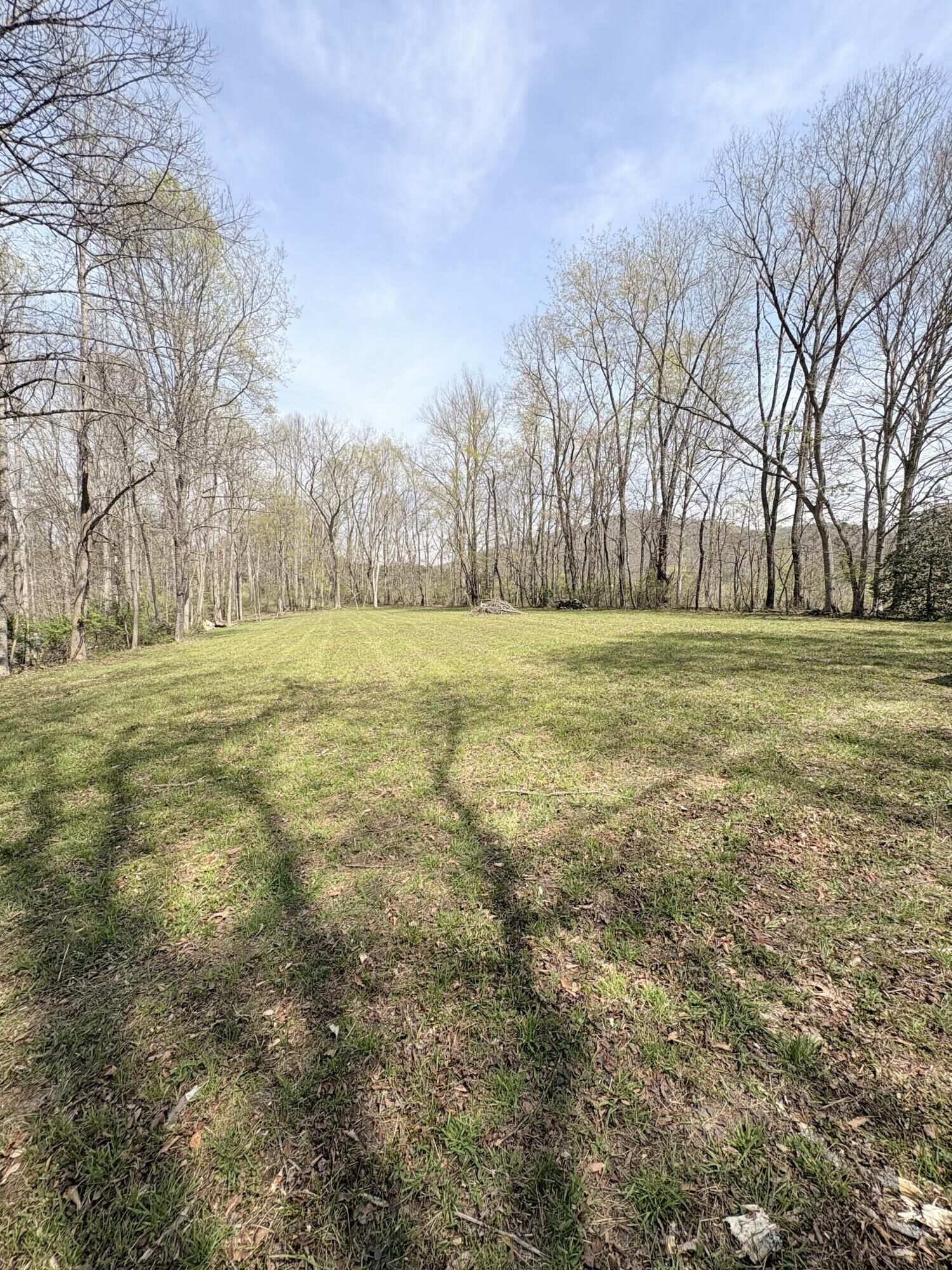 Property Photo: 0 Bacon Falls Road WV 24981