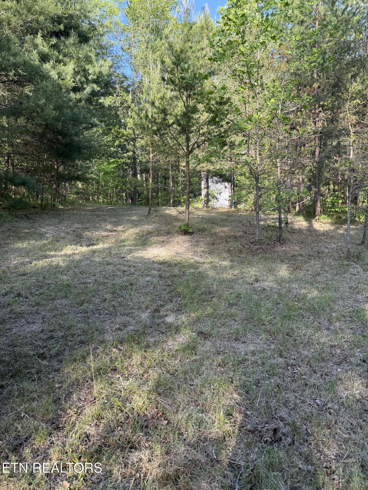 Property Photo:  Genesis Rd. - 10.14 Acres  TN 38571 