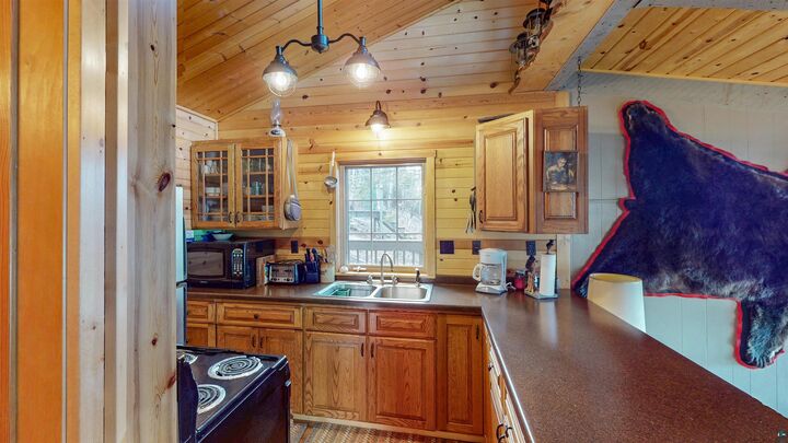 Property Photo: 45 S Bearskin Rd MN 55604