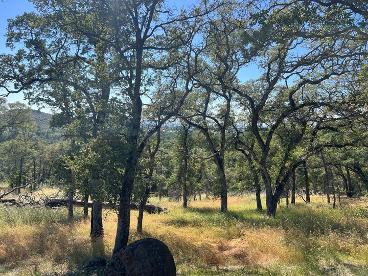 Property Photo:  21 Strongbox Court  CA 95918 